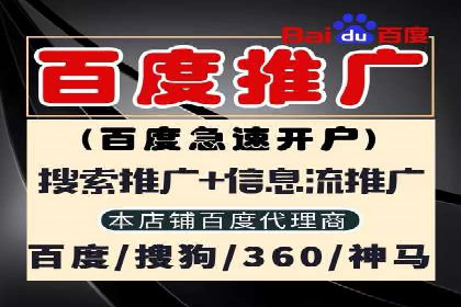 某品牌通过百度竞价提升线上销售业绩的案例